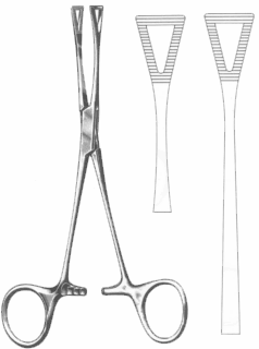  Pennington Forceps